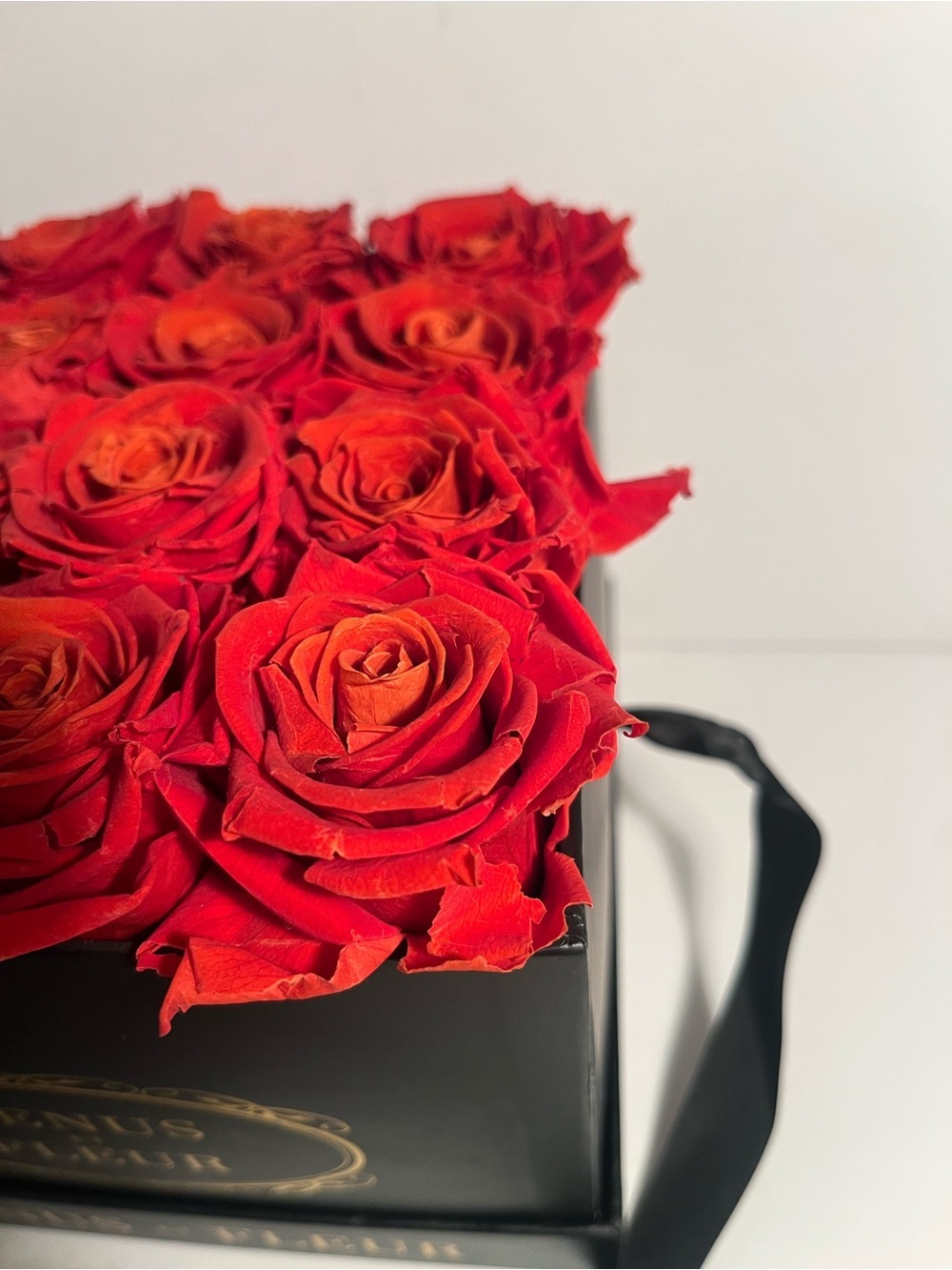 VENUS et FLEUR bouquet of roses 🌹🌹🌹🌹🌹🌹🌹🌹🌹🌹🌹🌹🌹🌹🌹🌹 - Picture 2 of 5